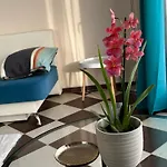 Apartment Zlatna Ribka
